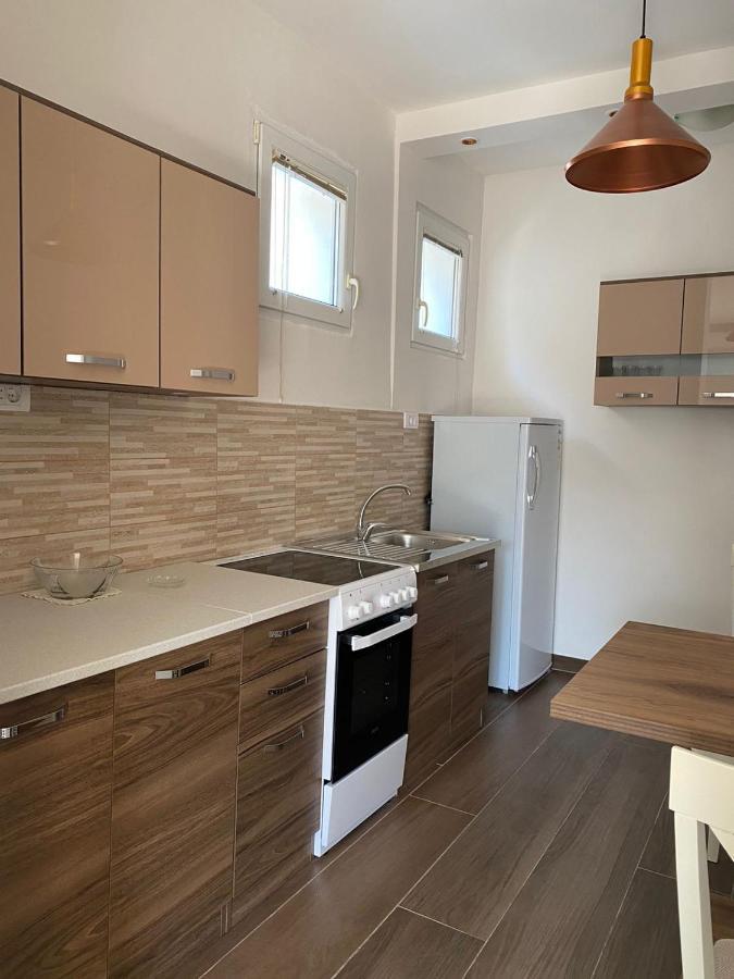 Apartmani Vila 采蒂涅 外观 照片
